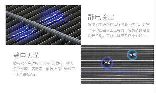 針對(duì)室內(nèi)甲醛污染 這才是最好的去除辦法